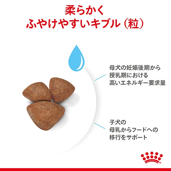 ������륫�ʥ� SHN �ߥ˥��������� �ޥ������٥ӡ��ɥå� 1kg