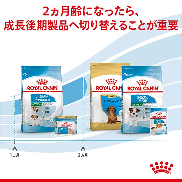 ������륫�ʥ� SHN �ߥ˥��������� �ޥ������٥ӡ��ɥå� 1kg