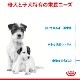 ������륫�ʥ� SHN �ߥ˥��������� �ޥ������٥ӡ��ɥå� 1kg