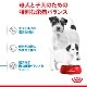 ������륫�ʥ� SHN �ߥ˥��������� �ޥ������٥ӡ��ɥå� 1kg