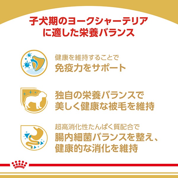 ������륫�ʥ� BHN �衼�����㡼�ƥꥢ �Ҹ��� 500g��2��