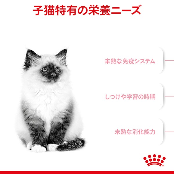 ロイヤルカナン ラグドール用 成猫用 2kg×2袋 初々し