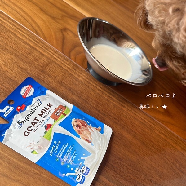 �����ͥ��㡼�� �ɥå������ȥߥ륯 70g �ե��󥿥�������