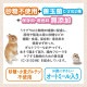 �������� ���������� ���ꥢ��ץ饹 150g �����å���