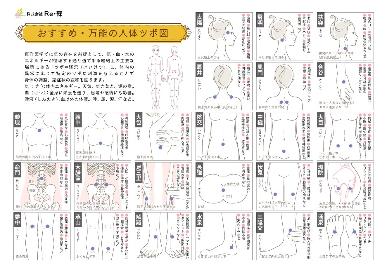 リ・ソビームちっぷ<br>永久使用タイプ（18粒）