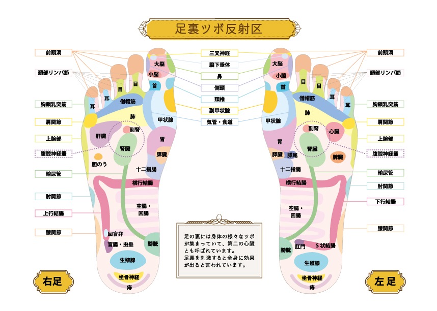 リ・ソビームちっぷ 永久使用タイプ 18粒
