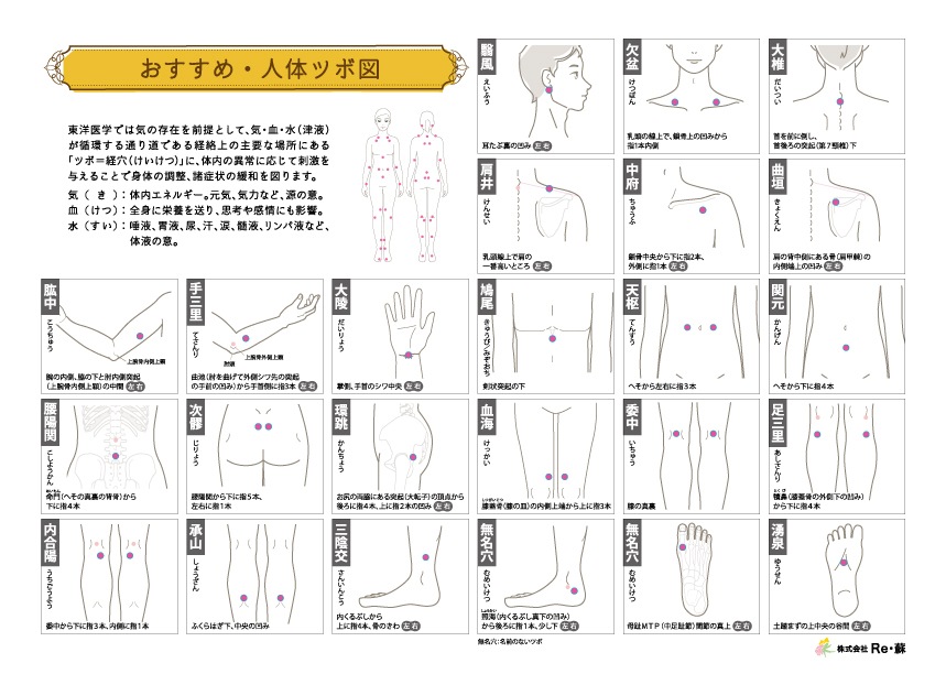 リ・ソビームちっぷ 永久使用タイプ 2粒