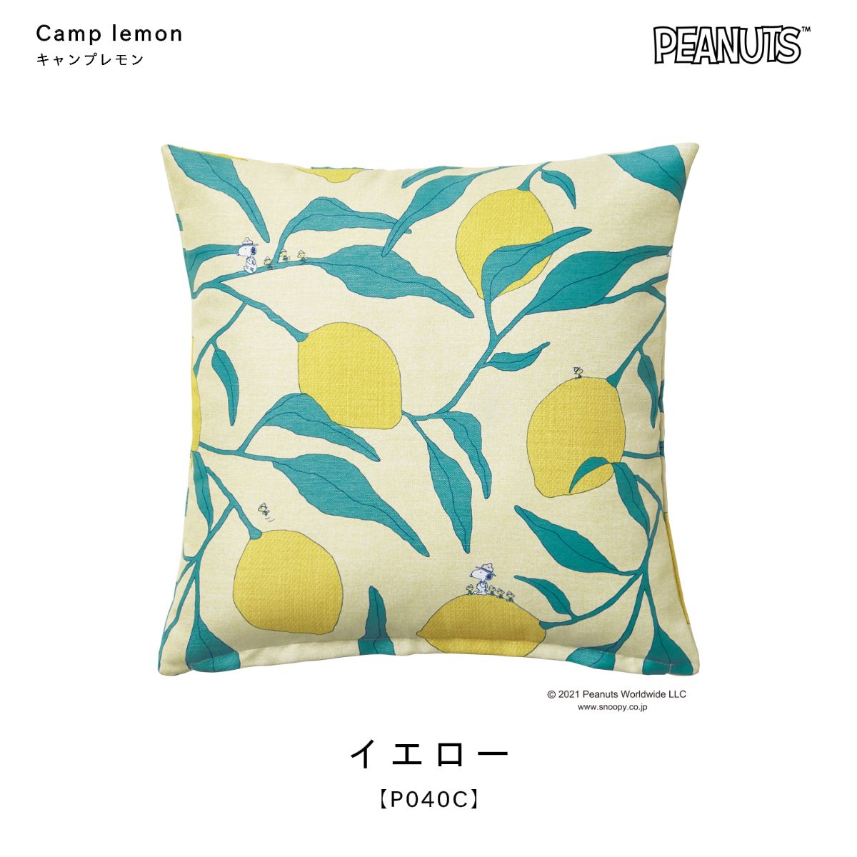 ���̡��ԡ������å���󥫥С�