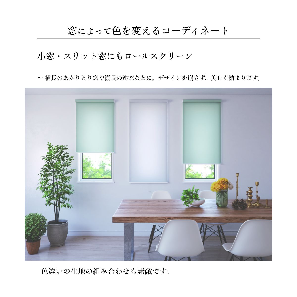 륹꡼󡡥Υ롡̾勵