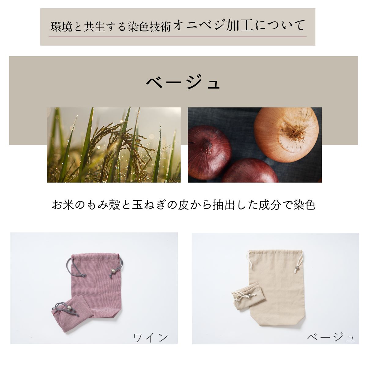 ���������ץ����������оݾ��ʡۥץ��ǥ塼���Хå�