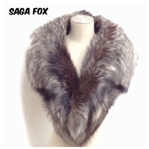 š̵ۡۥեå SAGA FOX  硼 ߴ ֥饦 ǥ
