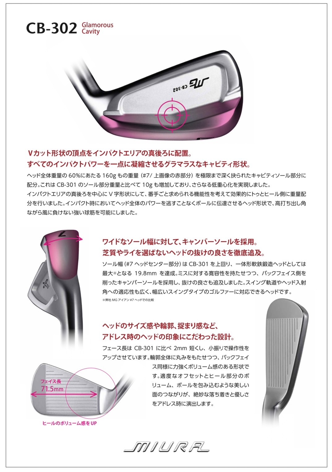 ヘッド交換】カスタム 三浦技研 CB-302 6本セット(5～Pw)