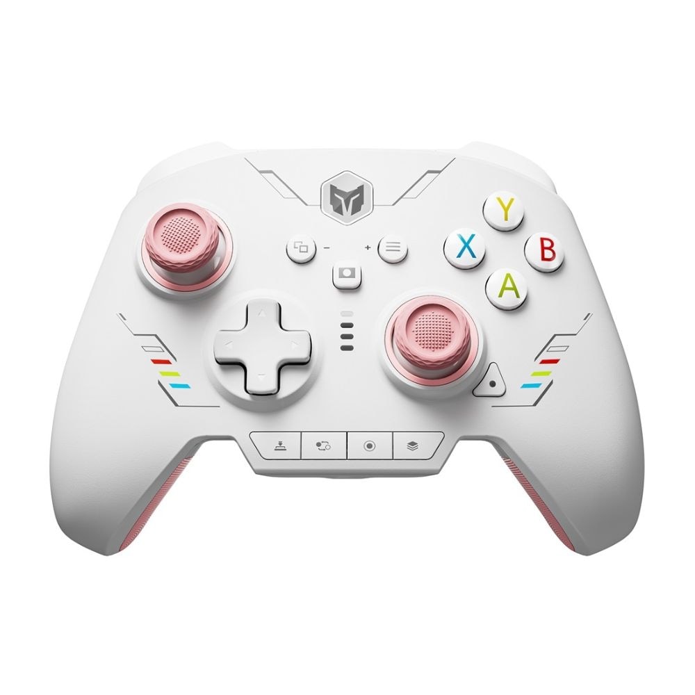 BIGBIG WON ビッグビッグウォン RAINBOW2 SE Pink 無線 有線