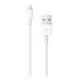 Apple アップル キーボード Magic Keyboard 英語 (US) テンキーつき Lightning - USB-A MXCJ3LL/A 国内正規品