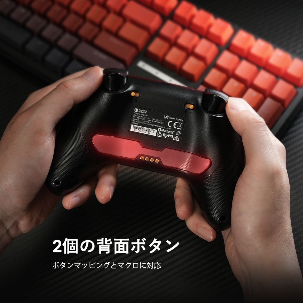 GameSir ゲームサー GameSir Nova2 Lite XH 無線 有線ゲームコントローラー ( Switch Switch2 Windows PC iOS Android Bluetooth 2.4GHz USB-C マクロ ターボあり ジャイロなし 1年間保証 )