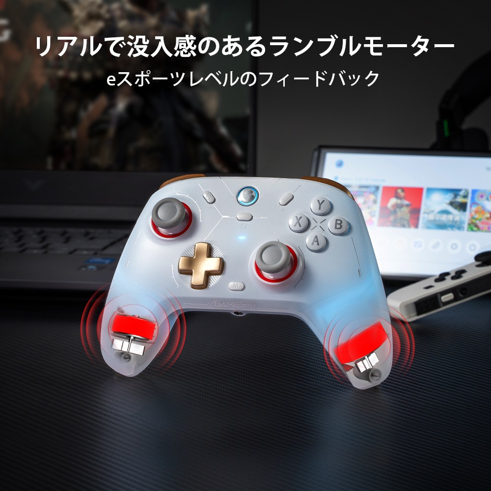 GameSir Cyclone2 Bundle Black 無線 有線ゲームコントローラー ( Switch Windows PC Android iOS Bluetooth 2.4GHz USB Type-A 6軸ジャイロ ターボ マクロ 背面ボタン 振動あり マイクロスイッチ 充電台付き )
