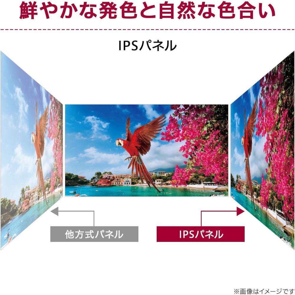 LG Electronics モニター 液晶ディスプレイ 24MS570B-B ( 23.8型 フルHD IPS 非光沢 HDMI USB Type-C チルト 高さ調整 Vesa 内蔵スピーカー 3年間保証 ) ブラック