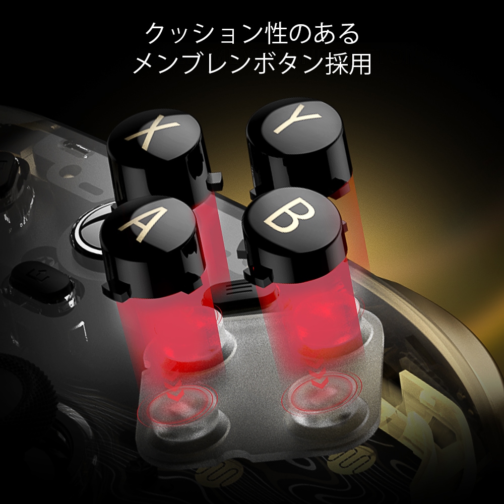 GameSir Kaleid Flux Xbox認証 有線コントローラー ( Xbox Windows PC 用 USB Type-C ホール効果センサー仕様 バイブレーション有 ターボ無 メンブレンボタン RGBライト 1年間保証)