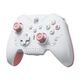 BIGBIG WON ビッグビッグウォン RAINBOW2 SE Pink 無線 有線 ゲームコントローラー ( Switch iPhone Andoroid Windows10 11 Bluetooth 2.4GHz USB-A ターボ マクロ ジャイロ ) ピンク