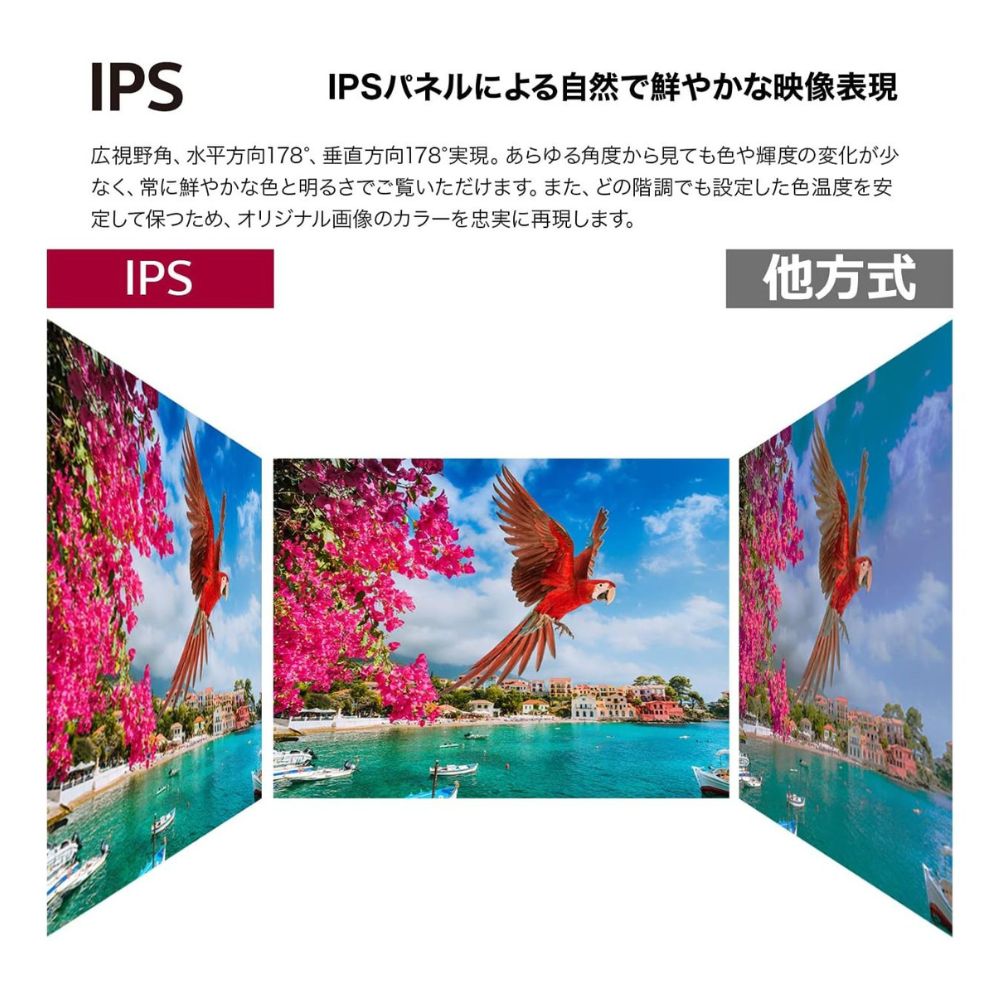 LG Electronics モニター 液晶ディスプレイ 22MN430M-BAJP ( 21.5インチ フルHD IPS ノングレア HDMI D-sub チルト Vesa 3年間保証 )