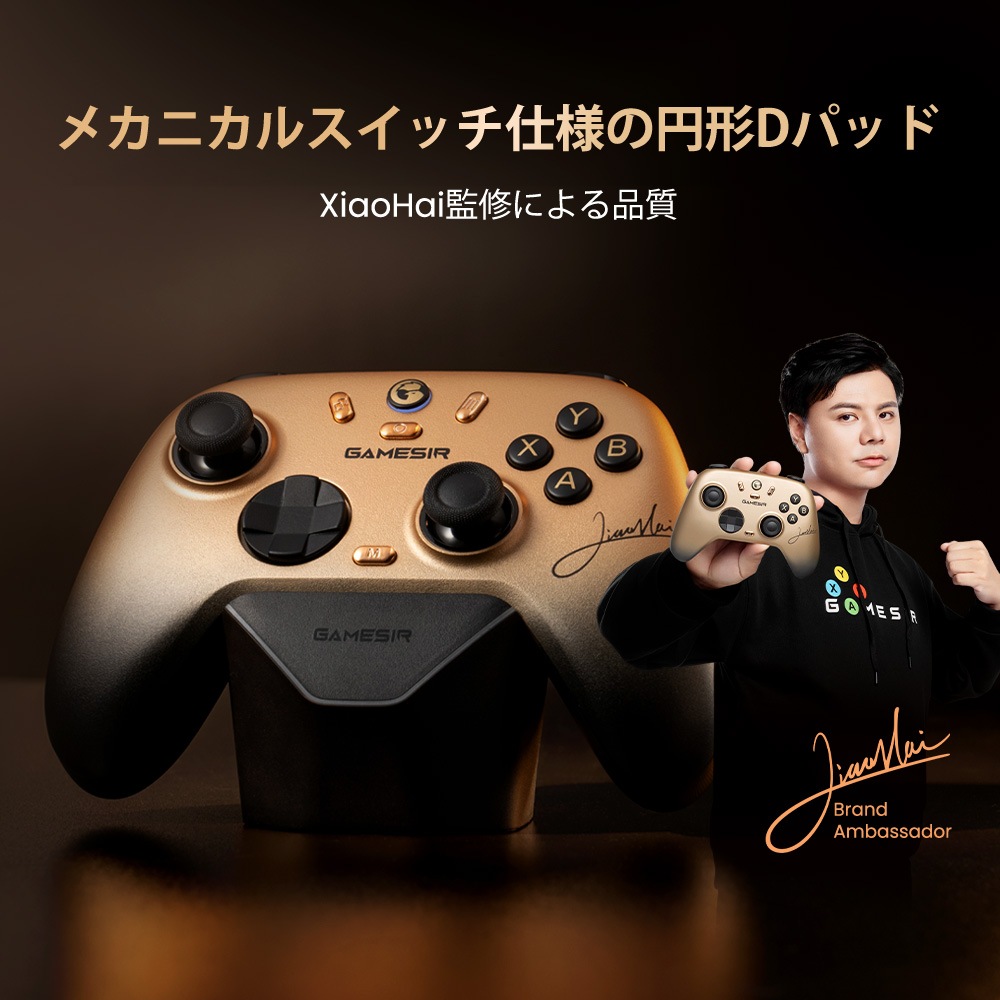 GameSir ゲームサー GameSir Nova2 Lite Gray 無線 有線ゲームコントローラー ( Switch Switch2 Windows PC iOS Android Bluetooth 2.4GHz USB-C マクロ ターボあり ジャイロなし 1年間保証 )