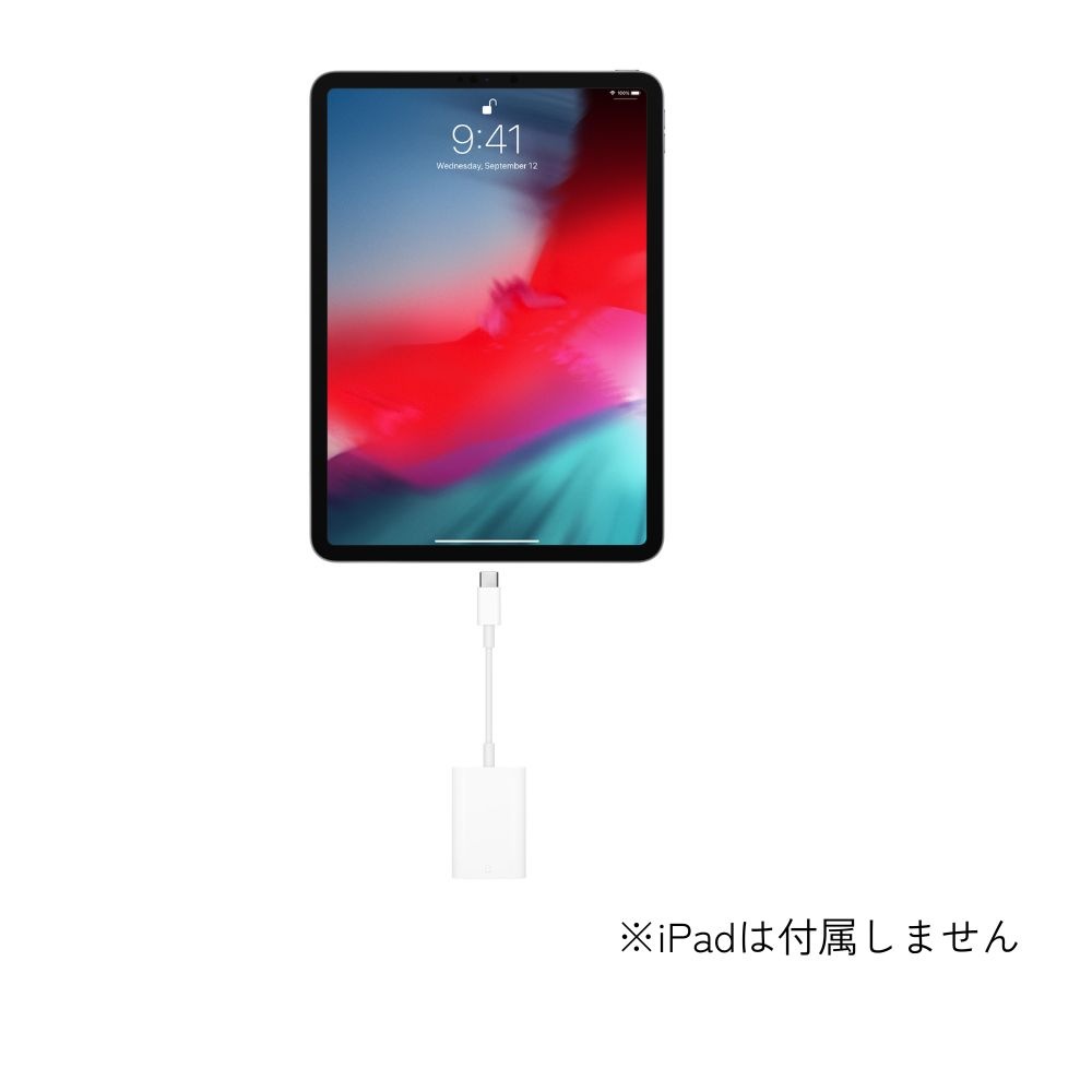 Apple アップル USB-C - SDカードリーダー MW653ZA/A 国内正規品