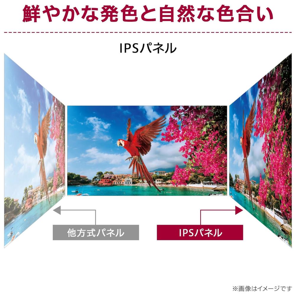 LG Electronics モニター 液晶ディスプレイ 24MS500-B ( 23.8型 フルHD IPS 非光沢 HDMI チルト Vesa 3年間保証 )