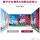 LG Electronics モニター 液晶ディスプレイ 24MS500-B ( 23.8型 フルHD IPS 非光沢 HDMI チルト Vesa 3年間保証 )