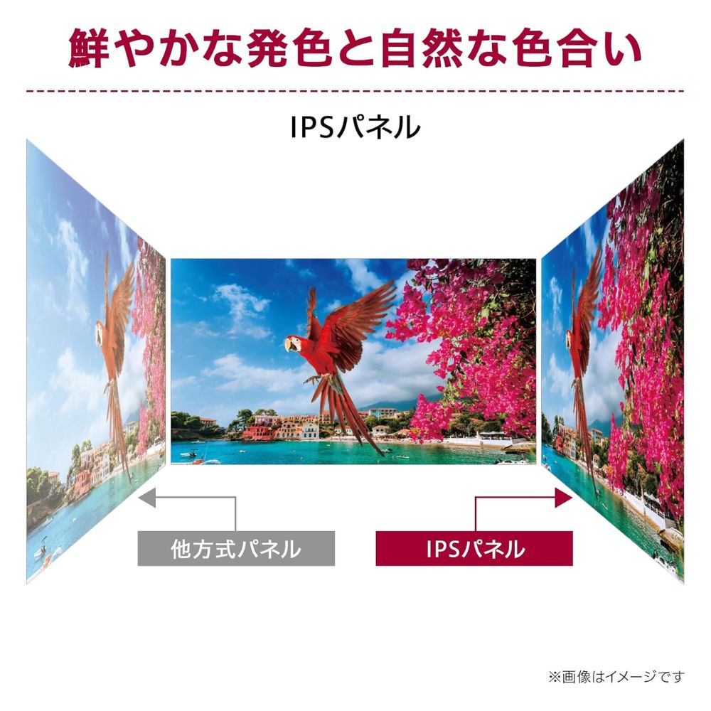 LG Electronics モニター 液晶ディスプレイ 27BA450-B ( 27型 フルHD IPS 非光沢 DisplayPort D-sub HDMI チルト スイベル ピボット 高さ調整 Vesa 内蔵スピーカー 3年間保証 )