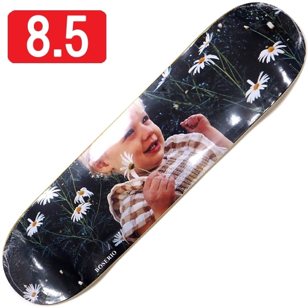 デッキ,サイズ選択,8.5インチ（21.7cm前後）～ | R-F SKATE
