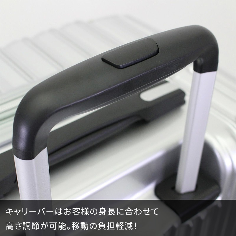 siffler シフレ TRIDENT TRI2035K-49 トライデント スーツケース 機内