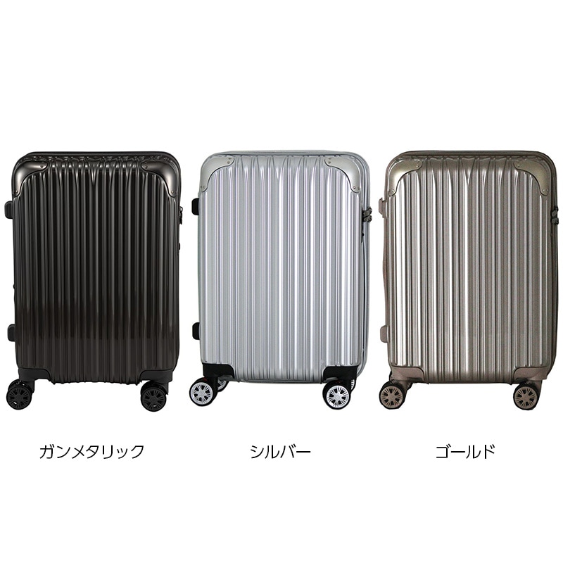 siffler シフレ TRIDENT TRI2035K-49 トライデント スーツケース 機内
