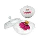 U-180 �������ݥå�(��)�ƴ���