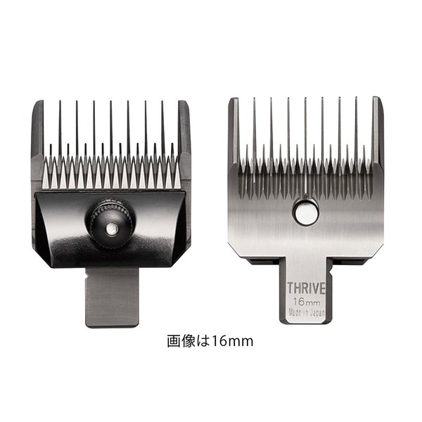 ���饤�� 5500.5000AD �ؿ� 7�ߥ�