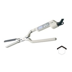 �ǥ����� MAX �������륢������ N-2mm