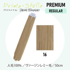 �ץ�ޥ��ƥ� #16 50cm 48g(20������40��)