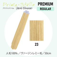 �ץ�ޥ��ƥ� #23 50cm 48g(20������40��)