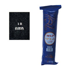 ���ȥ쥢 �إ����ȥå� SM  1B(������)