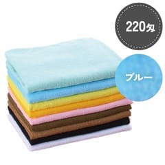 SR�񻺥��顼������ 220�� �֥롼