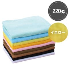 SR�񻺥��顼������ 220�� ��������