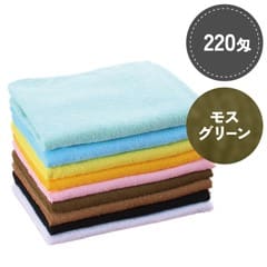 SR񻺥顼 220 ⥹꡼