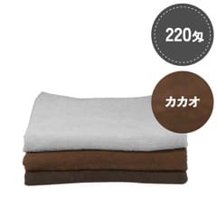 SR�񻺥��顼������ 220�� ������