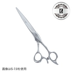 �ҥ��� SEV COSMOS S-6.5
