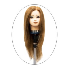 ���åץ����å� 295 �֥饦��