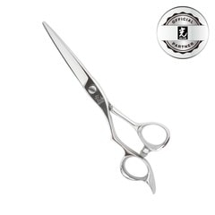 �ҥ��� Koryu L-507 ����