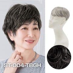 ��ȱ�����������å��Ĥस������ST-004-TBGH