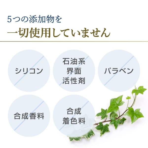 ��å��� ���ѥ���ǥ�����ʡ� 300ml