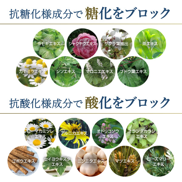 ��å��� ���ѥ���ǥ�����ʡ� 800ml