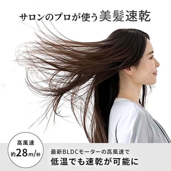 ������ �ץ饺�ޥ����󥱥��ɥ饤�䡼 BLOW+ ABD-702FBK