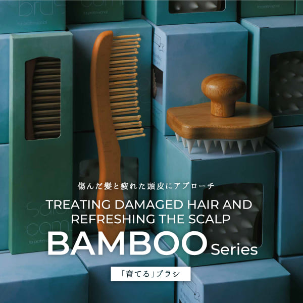 Х֡إåɥ֥饷 ϡ BH-25G01